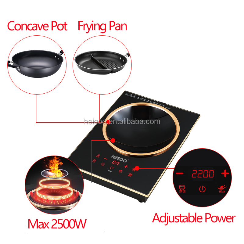 Cocina de inducción eléctrica  - Induction Cooktop Portable reseña y precio