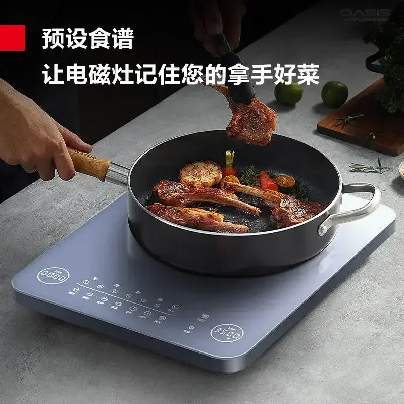 Placa de cocción por inducción - Induction Cooktop Portable reseña y precio