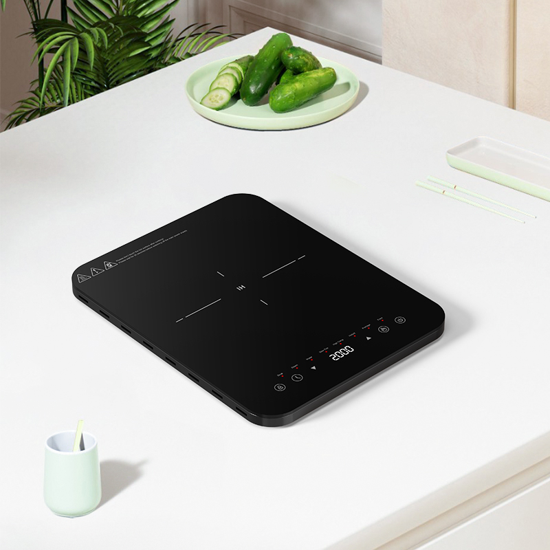 Zonas de cocción por inducción - Induction Cooktop Portable reseña y precio