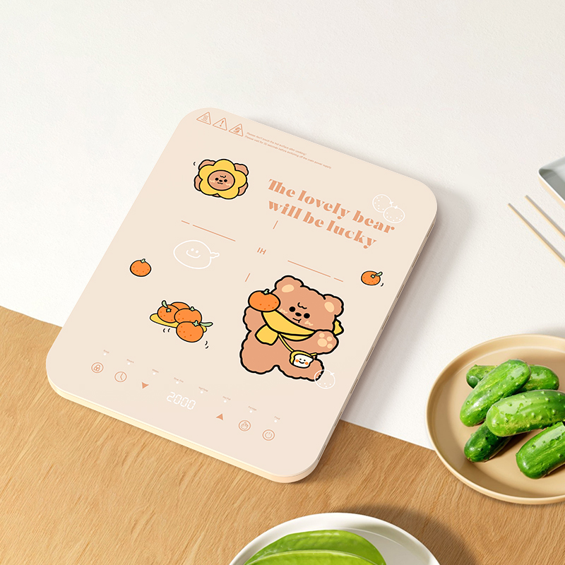 Zonas de cocción por inducción - Induction Cooktop Portable reseña y precio